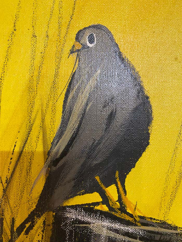 "Pigeon at Sunrise" Animal Acrylic Painting on Yellow Background by Ian McCaine