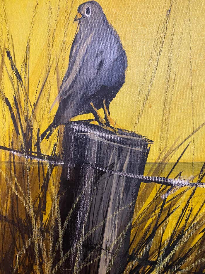 "Pigeon at Sunrise" Animal Acrylic Painting on Yellow Background by Ian McCaine